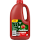 Fountain Tomato Sauce