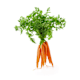 Dutch Carrot Bunch