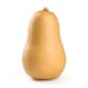 Pumpkin Butternut Whole