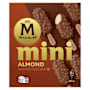 Magnum Mini Ice Cream Almond