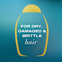 OGX Argan Oil of Morocco Conditioner