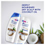 Head & Shoulders Dry Scalp Care Coconut Oil Anti Dandruff Conditioner