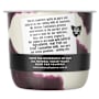 Tamar Valley Dairy Blueberries & Cream Yoghurt