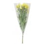 Flowers Chrysanthemum Bunch