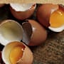 Best Foods Mayonnaise Whole Egg