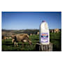 Norco Lactose Free Lite Milk