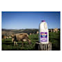 Norco Milk Lactose Free Full Cream