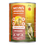 Natures Goodness Complete Care Adult With Salmon