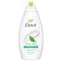 Dove Body Wash Fresh Care 