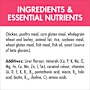 Purina One Kitten Pet Food Dry Active Chicken