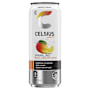 Celsius Energy Drink Mango Lemonade