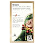 Nescafe Mocha Coffee Multipack