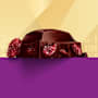 Cadbury Old Gold Jamaica Rum & Raisin