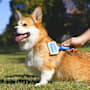 Purina Total Care Grooming Slicker & Comb