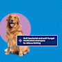 Purina Total Care Shampoo Shampoo Medicated Dog 