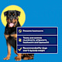 Purina Totalcare Heartwormer & Allwormer Protection Medium & Large Dogs