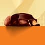 Cadbury Old Gold Roast Almond