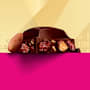 Cadbury Old Gold Fruit & Nut