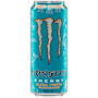 Monster Energy Ultra Fiesta