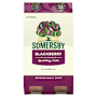 Somersby Blackberry Flavoured Cider 4.0% Bottle