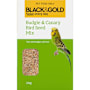Black & Gold Budgie & Canary Mix