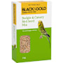 Black & Gold Budgie & Canary Mix