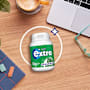 Extra Spearmint Chewing Gum Sugar Free Bottle