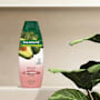 Palmolive Naturals Vibrant Colour Shampoo
