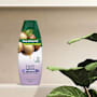 Palmolive Naturals Smooth & Shine Shampoo