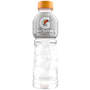 Gatorade Watermelon Chill Sports Drink