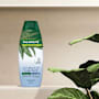 Palmolive Naturals Anti-dandruff 2in1 Shampoo & Hair Conditioner