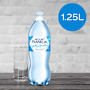 Mount Franklin Lightly Sparkling Water Natural Bottle