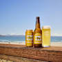 Stone & Wood The Original Pacific Ale Can
