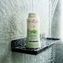 Organic Care Naturals Normal Balance Conditioner