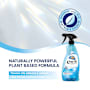 Earth Choice Window Cleaner Window