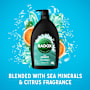 Radox Body Wash Feel Extreme