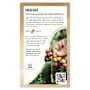 Nescafe Coffee Mixer Sachets Caramel Latte