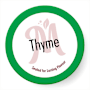 MasterFoods Thyme Leaves