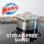 Windex Multi-purpose Surface & Glass Cleaner
