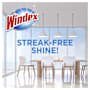 Windex Glass Cleaner Refill