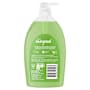 Radox Body Wash Feel Energised