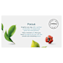 Twinings Live Well Focus