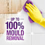 Easy-Off Bam Bleach Trigger