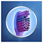 Oral-B Stages 3 Cars 5-7 Years Toothbrush Soft