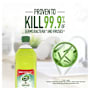 Pine O Cleen Antibacterial Disinfectant