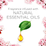 Air Wick Pure Cherry Blossom Electric Twin Refill