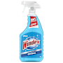 Windex Glass Cleaner