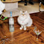 Belvedere Pure Vodka