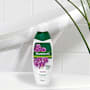 Palmolive Naturals Milk & Orchid Body Wash With Moisturising Milk