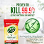 Pine O Cleen Surface Wipes